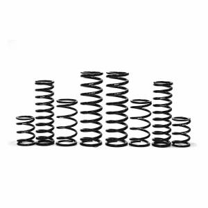 DUAL RATE SPRING KIT 72" CAN