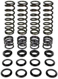 DUAL RATE SPRING KIT 60" POL