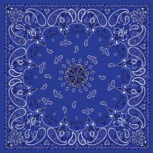 BANDANNA NAVY PAISLEY