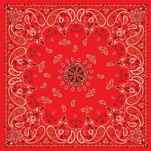 BANDANNA RED PAISLEY