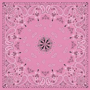 BANDANNA PINK PAISLEY