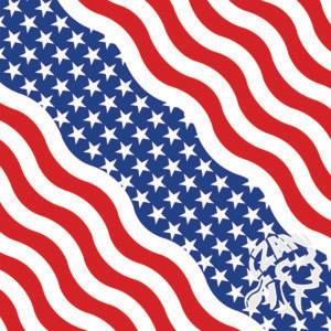 BANDANNA USA WAVY