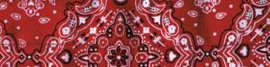 COOLDANNA PAISLEY RED