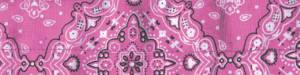 COOLDANNA PINK PAISLEY