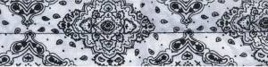 COOLDANNA PAISLEY WHITE