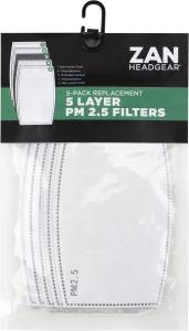 REPLACEMENT PM2.5 FILTER 5/PK