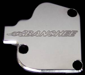 THROTTLE COVER (POLISHED LOGO)