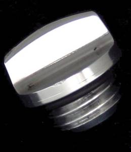 OIL PLUG & CAP (SILVER)