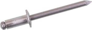 ALUMINUM POP RIVET 3/16" 100/P