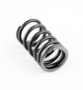 VALVE SPRING OUTER S-D