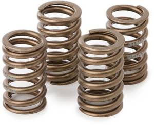 VALVE SPRING KIT HON CRF450R '09-11