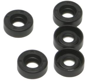 CLUTCH HUB NUT OIL SEAL EVO 5/PK OE#12014