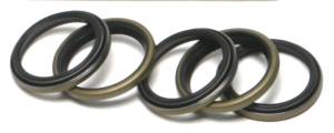 MAIN DRIVE GEAR END OIL SEAL EVO 5/PK OE#12022