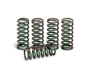 CLUTCH SPRINGS KX450F '06-19