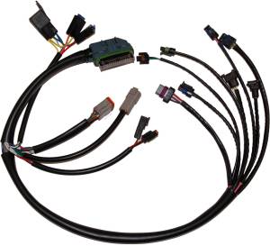 COMPLETE EFI HARNESS 02-03