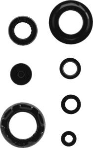 ENGINE OIL SEAL KIT